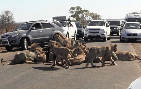 dayli mail news youtube