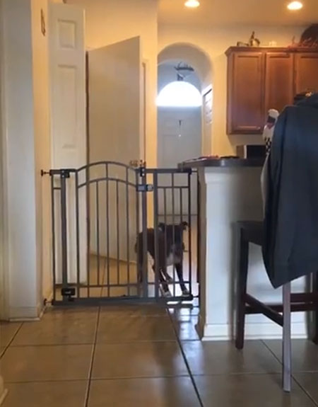 Storyful Rights Management youtube