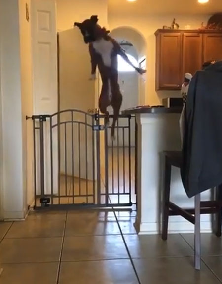 Storyful Rights Management youtube