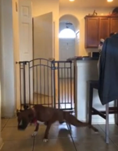 Storyful Rights Management youtube