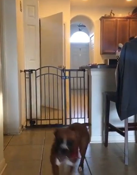 Storyful Rights Management youtube