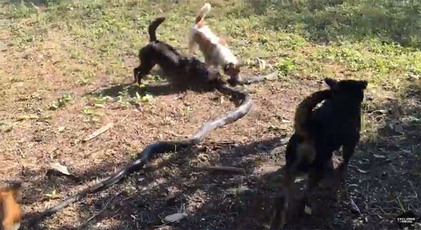 Exclusivepix Media youtube