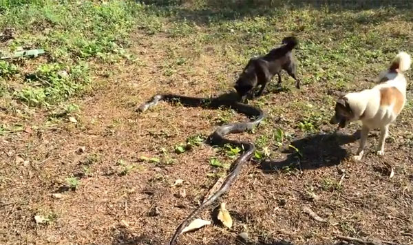 Exclusivepix Media youtube