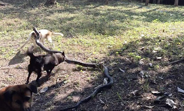 Exclusivepix Media youtube