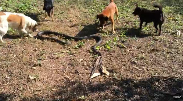 Exclusivepix Media youtube