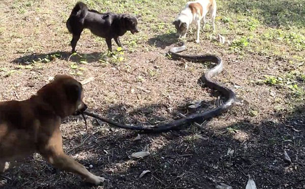 Exclusivepix Media youtube