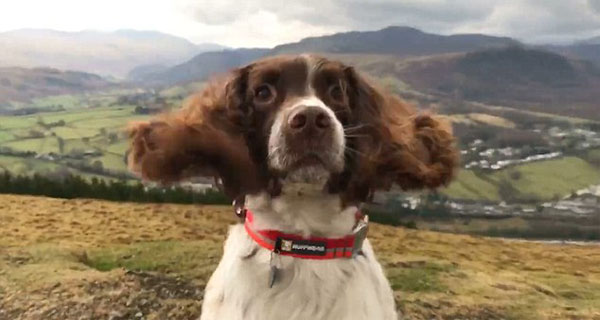 Kerry Irving Facebook