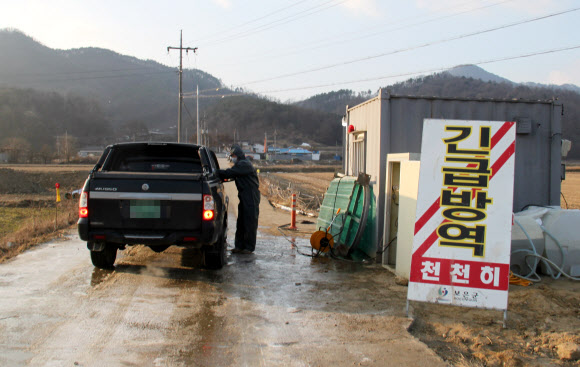 2년 만에 구제역이 발생한 충북 보은군 마로면 관기리 마을 진입로에서 6일 공무원들이 차량출입을 통제하고 있다. 이 마을의 한 젖소농장에서는 5일 구제역이 발생, 195마리가 살처분됐다. 연합뉴스