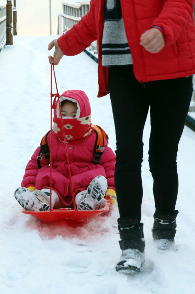 썰매타고 유치원 등교