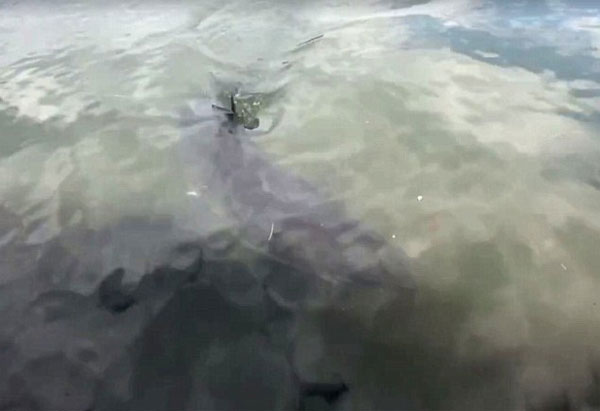 Simon Dilosa Facebook