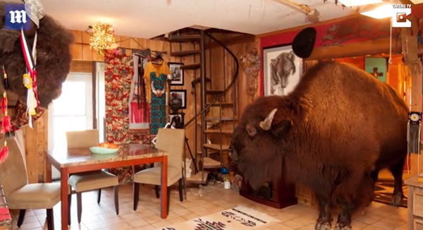 Caters TV, Mailonline