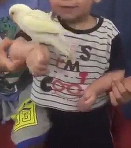 Travis The Libertarian