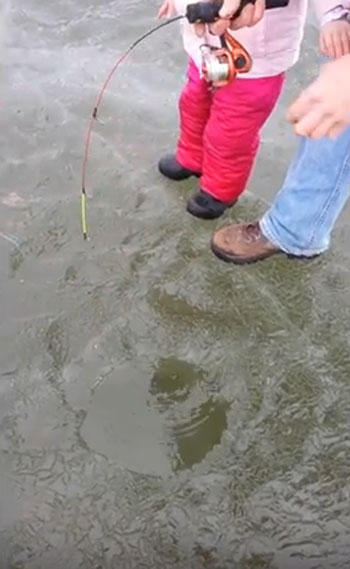 Heather Doxey Lusk Storyful