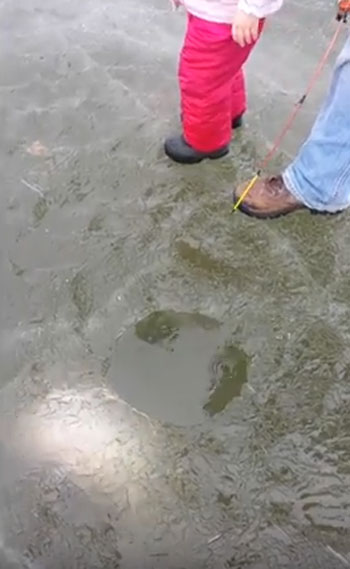 Heather Doxey Lusk Storyful