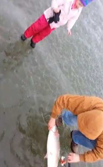 Heather Doxey Lusk Storyful