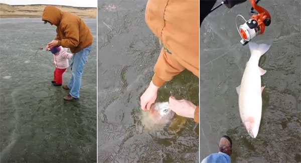 Heather Doxey Lusk Storyful