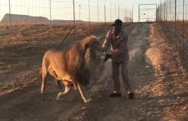 Glen Garriff Conservation Park
