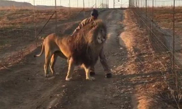 Glen Garriff Conservation Park