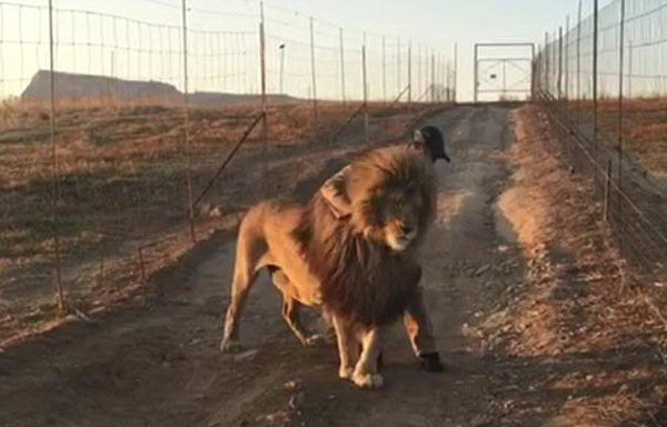 Glen Garriff Conservation Park