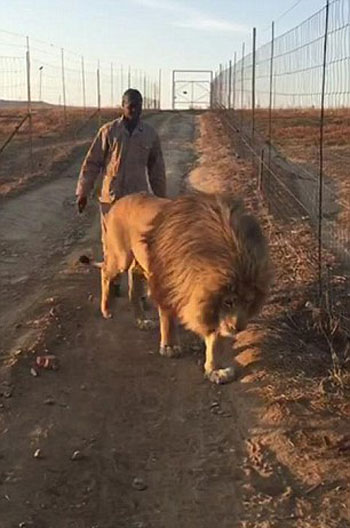 Glen Garriff Conservation Park
