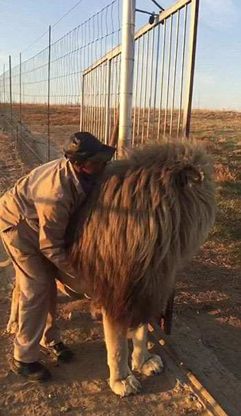 Glen Garriff Conservation Park