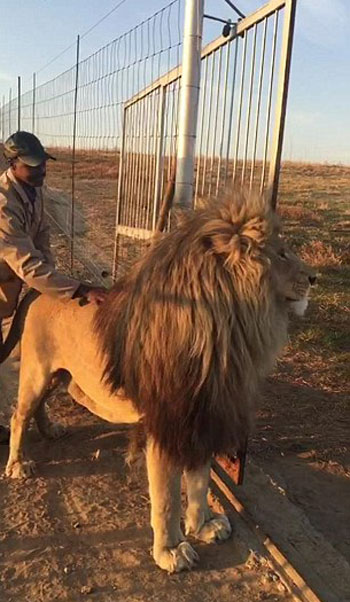 Glen Garriff Conservation Park