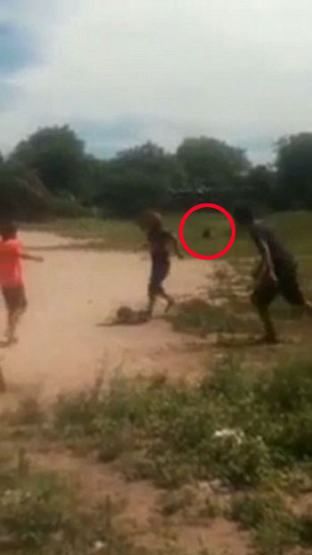 LiveFocus West youtube