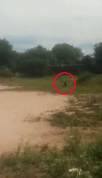 LiveFocus West youtube