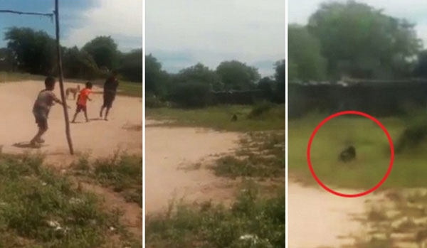 LiveFocus West youtube