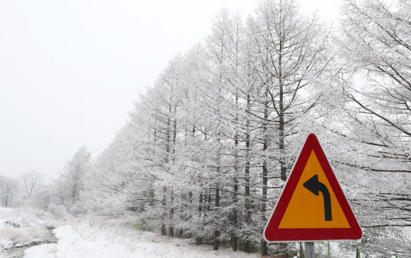 눈 내린 3월의 대관령