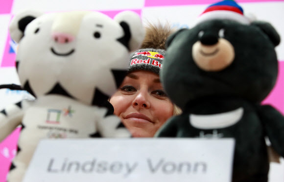 수호랑과 반다비 사이