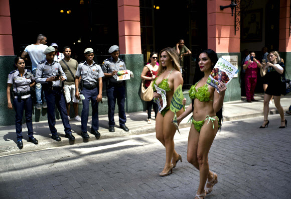 2일(현지시간) 쿠바 아바나에서 동물보호단체 페타(PETA)의 활동가들이 상추로 만든 비키니를 입고 채식주의를 권장하는 캠페인을 하고 있다. AP 연합뉴스