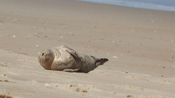 Cory Godwin Productions facebook