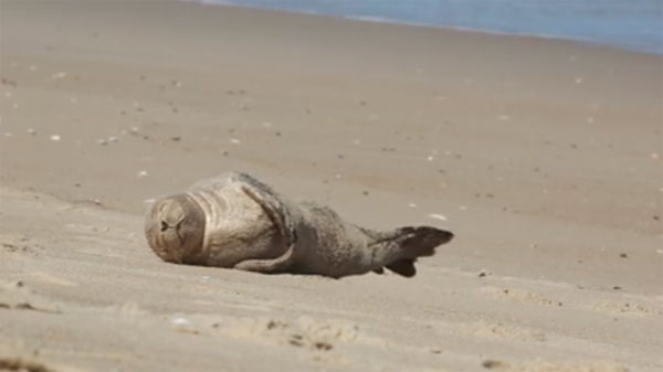 Cory Godwin Productions facebook