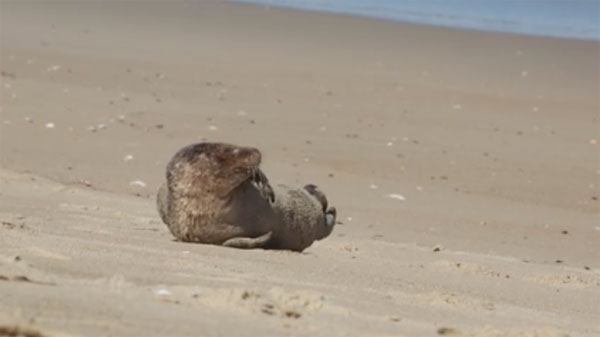 Cory Godwin Productions facebook