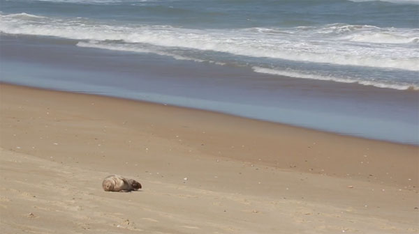 Cory Godwin Productions facebook