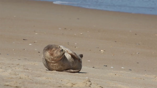 Cory Godwin Productions facebook