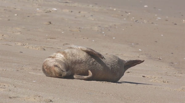 Cory Godwin Productions facebook