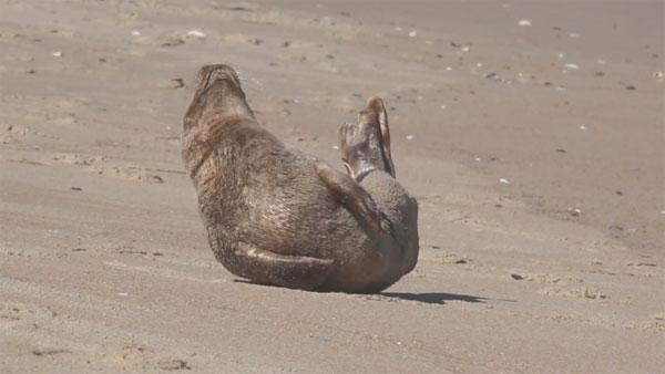 Cory Godwin Productions facebook