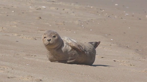 Cory Godwin Productions facebook