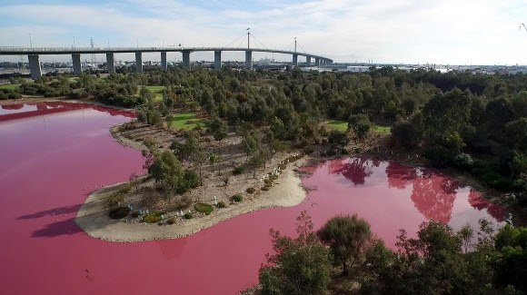 가뭄이 만든 분홍빛 호수 