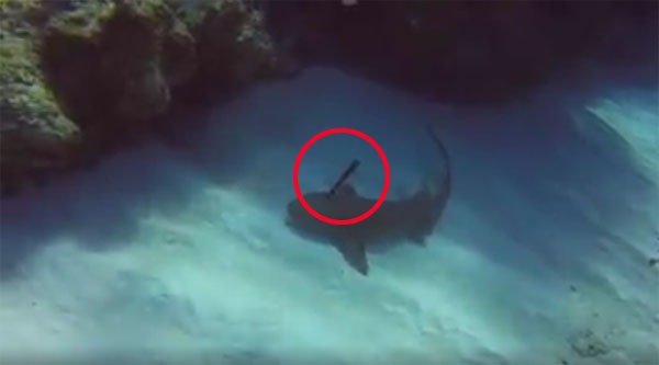 Cayman Brac Beach Resort facebook