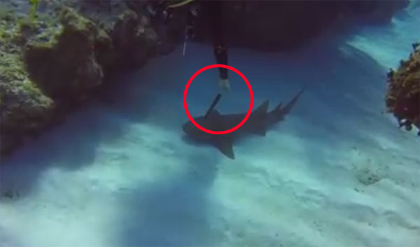 Cayman Brac Beach Resort facebook