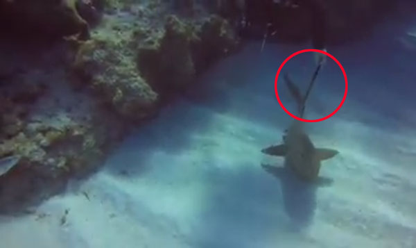 Cayman Brac Beach Resort facebook