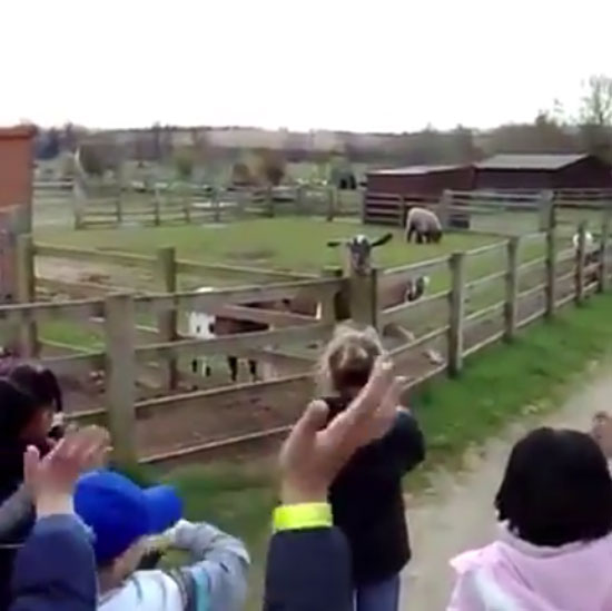 WhitePostFarm youtube