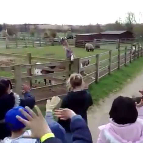 WhitePostFarm youtube