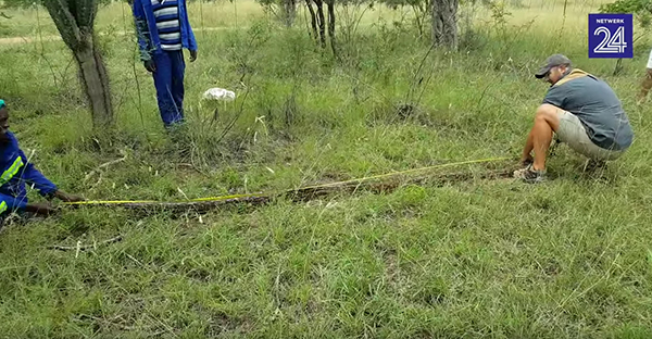 유튜브 영상 캡처