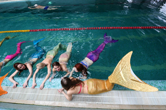 16일(현지시간) 러시아 모스크바에 있는 한 수영장에서 인어 수영복을 입은 여성들이 수영 연습에 한창이다. 인어 수영법은 판타지를 실현시키고자 한 데서 탄생한 새로운 피트니스의 형태다. AFP 연합뉴스