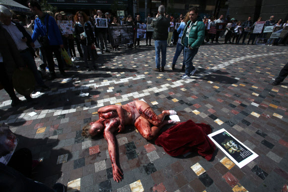 반라의 한 운동가가 19일(현지시간) 그리스 아테네에서 열린 동물학대·살해, 동물실험에 반대하는 동물의 권리를 위한 시위를 하며 온 몸에 가짜 피를 바르고 누워 있다. EPA 연합뉴스