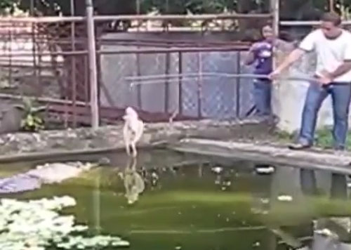 PTI News Corporation youtube